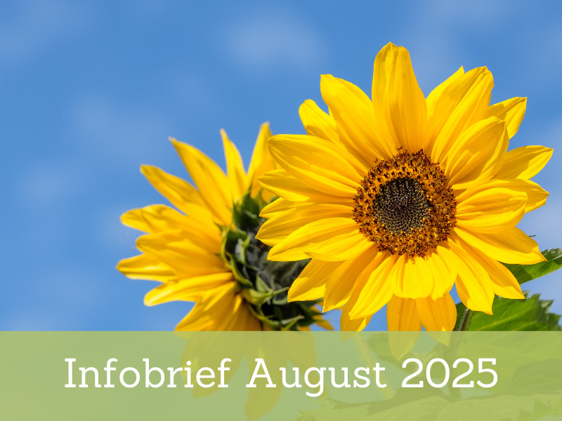 Infobrief 08-2025