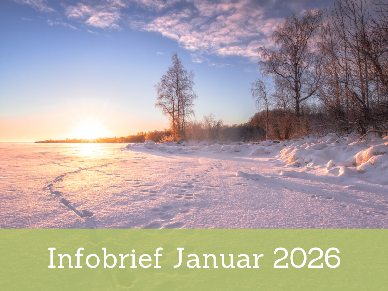 Infobrief 01-2026