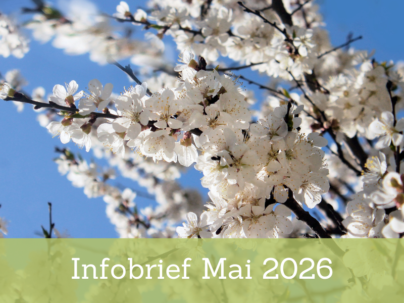 Infobrief 05-2026