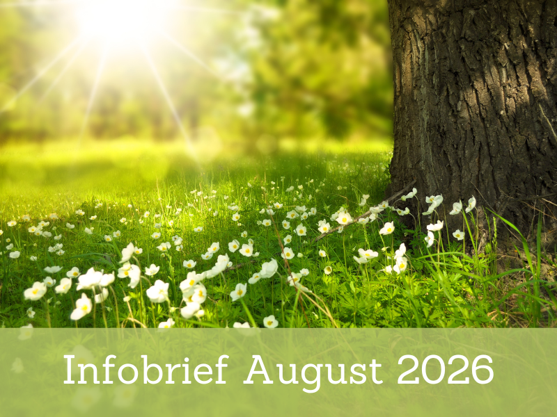 Infobrief 08-2026