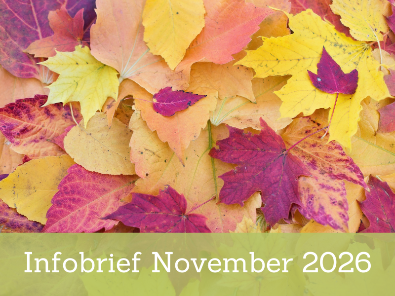 Infobrief 11-2026